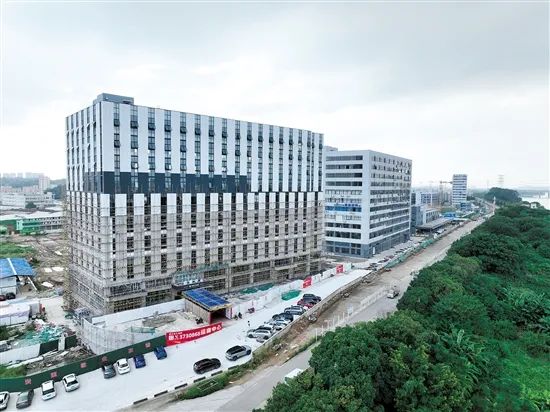 51241727371497538.jpg 图片