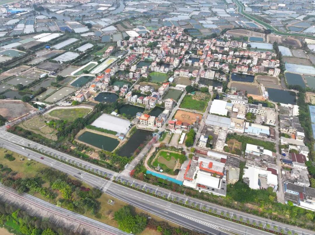 640 - 2025-04-08T093301.117.jpg