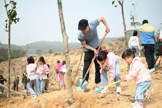 萌娃种树有备而来,“专属”工具很抢眼。 图片