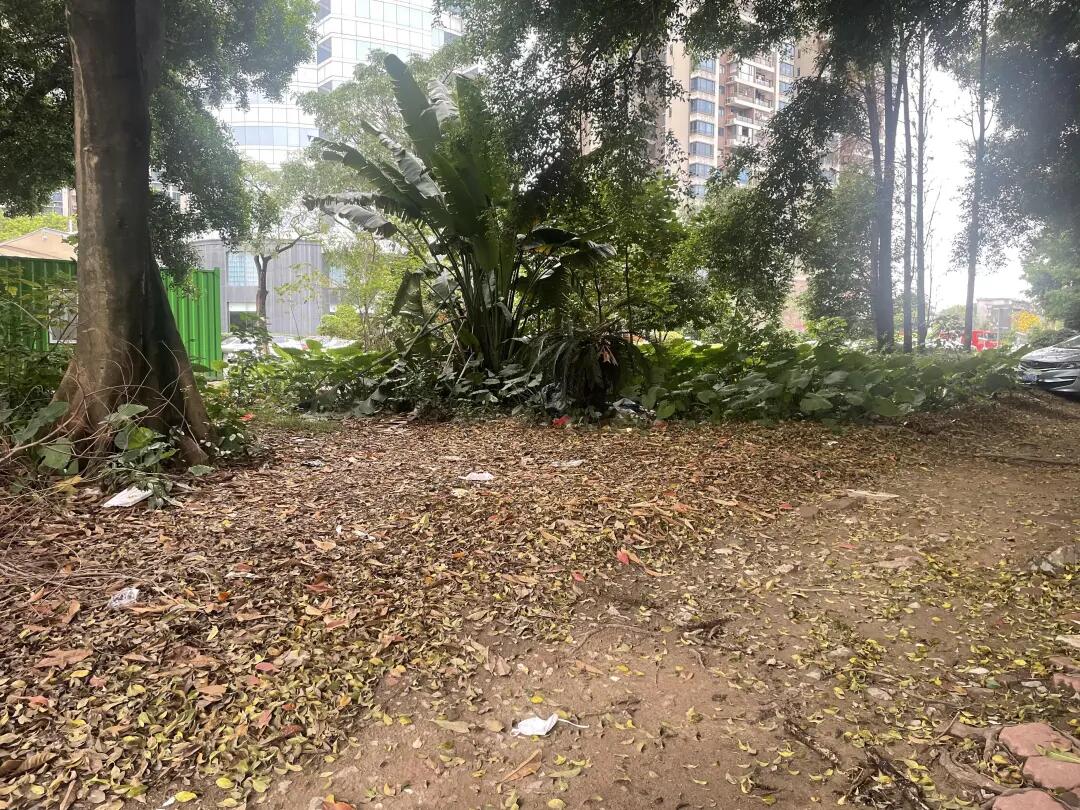 640 - 2025-05-16T113136.069.jpg