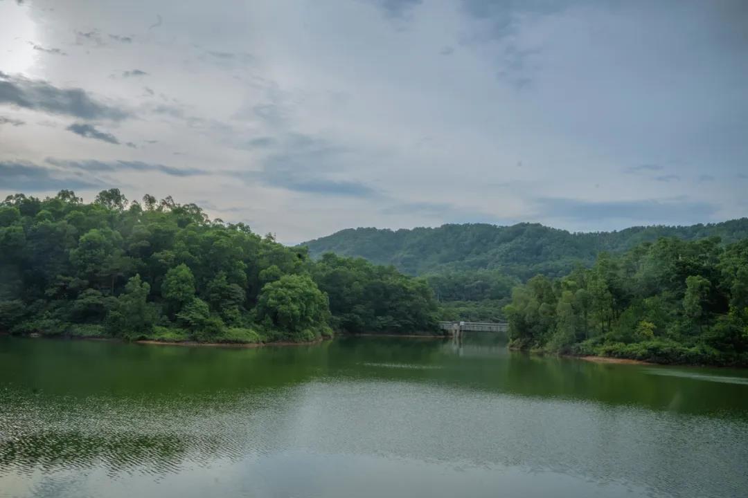 微信图片_20200813180200.jpg