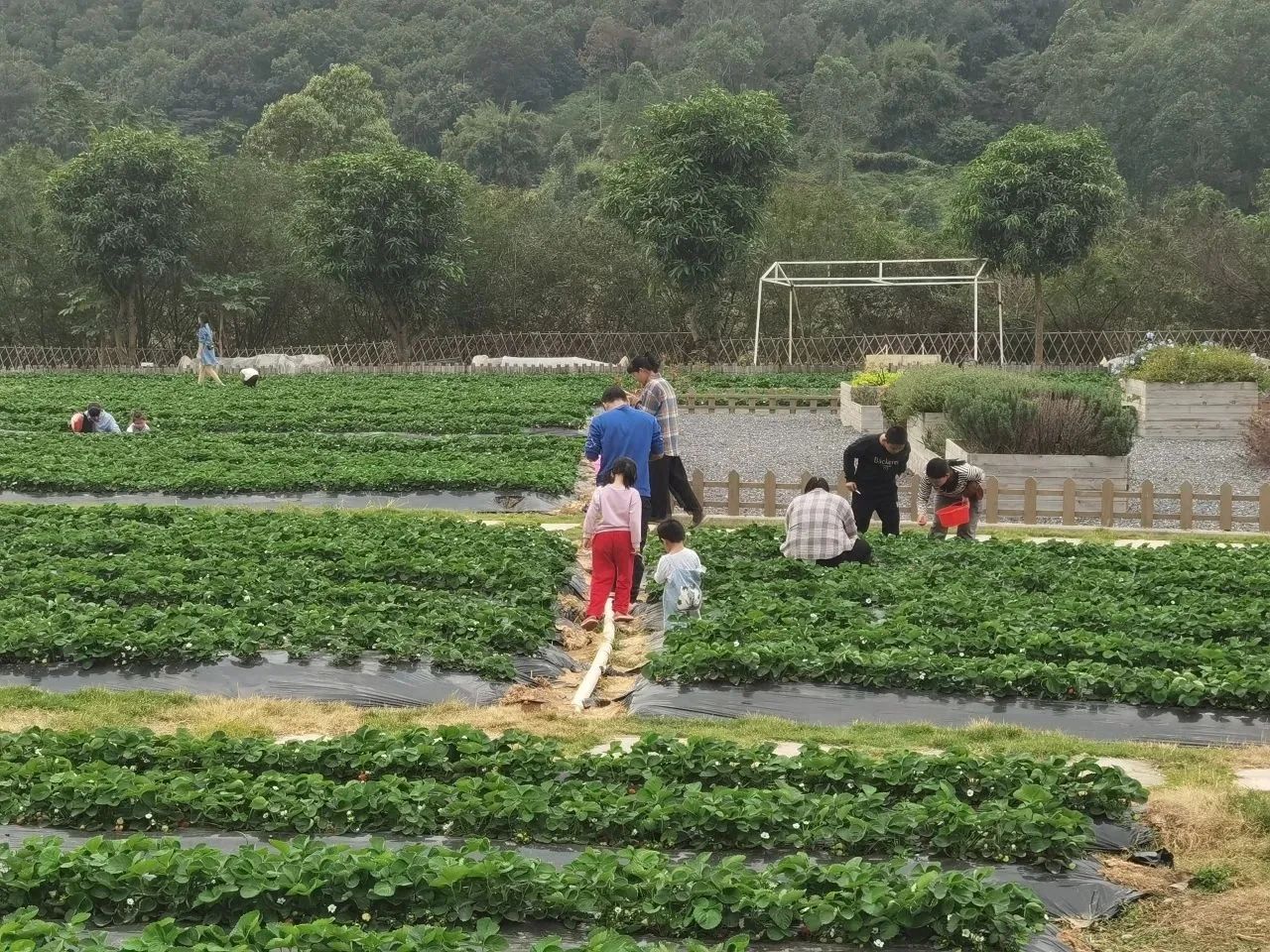 微信图片_20240104101417.jpg