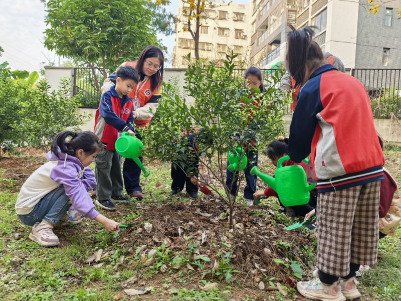 16农林双朗小学种植新会柑树.jpeg